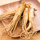 Panax Ginseng